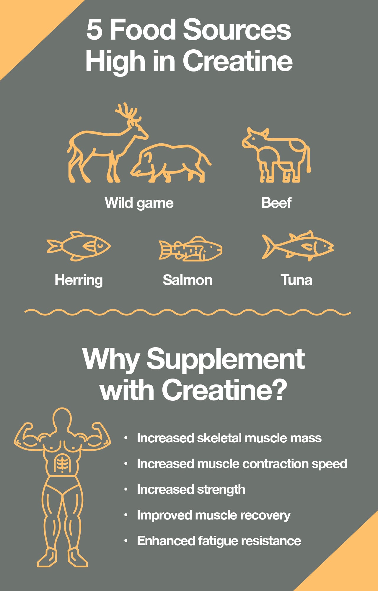 What Is Creatine And How Does It Work?
