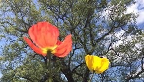 What Is The Good Life? A Definition And How To Achieve It What Is The Good Life? A Definition And How To Achieve It