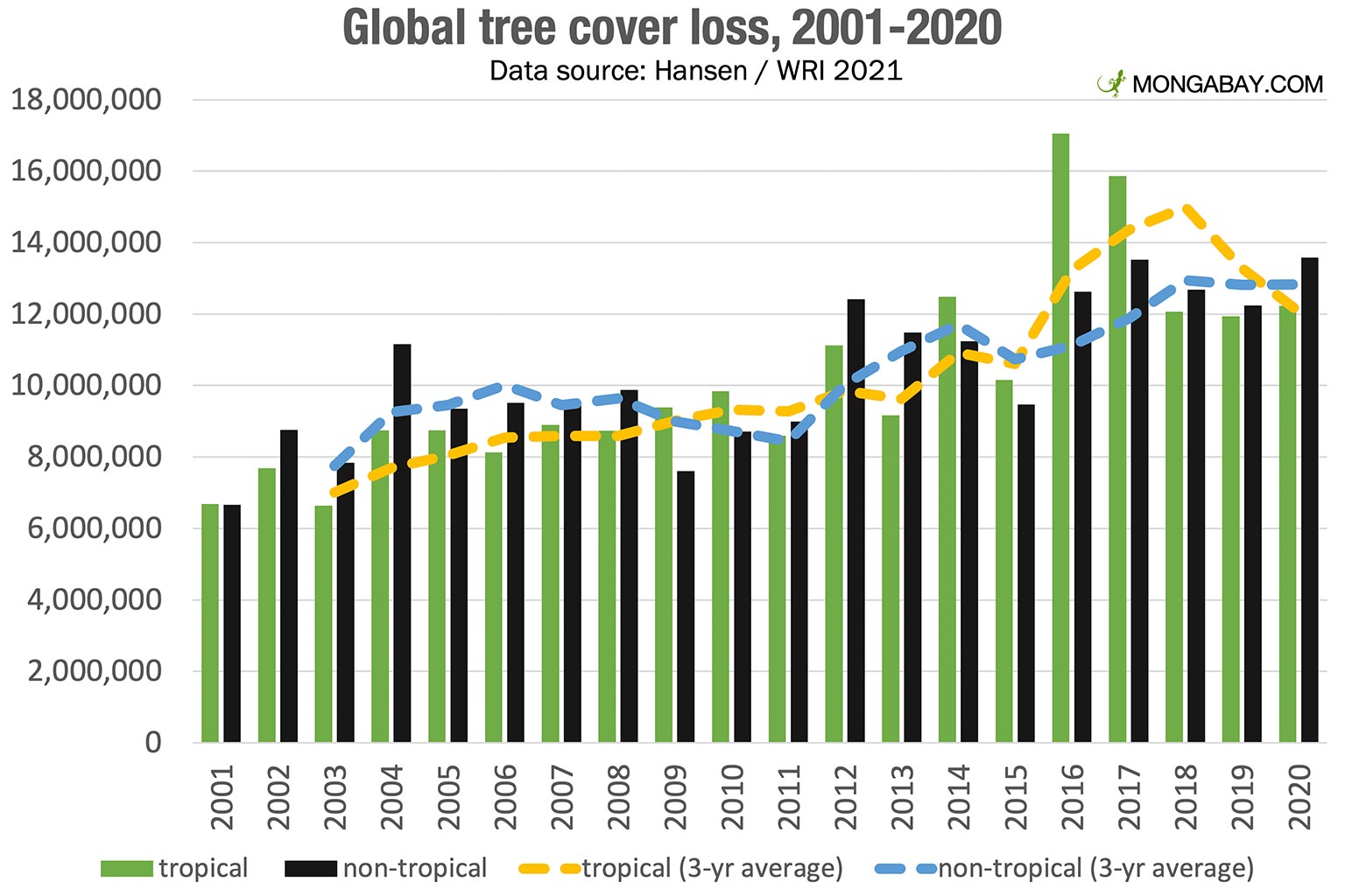 Wildfires Intensify Global Forest Loss: A Record-Breaking Crisis Wildfires Intensify Global Forest Loss: A Record-Breaking Crisis
