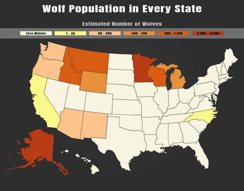 Wolves In The North State: A Growing Concern Wolves In The North State: A Growing Concern