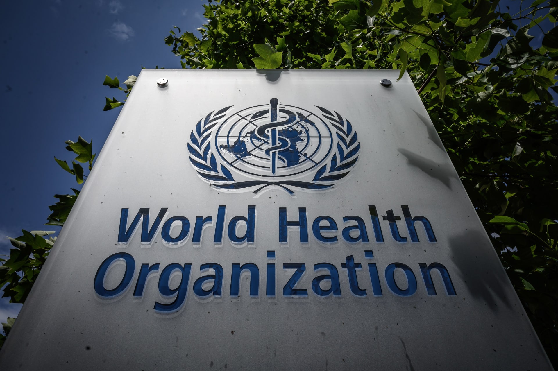 World Health Organization: New COVID-19 Variant May Be Responsible For Rising Case Numbers World Health Organization: New COVID-19 Variant May Be Responsible For Rising Case Numbers