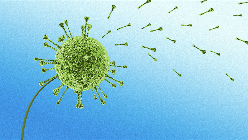 World Health Organization Reports New COVID-19 Variant, Rising Case Numbers World Health Organization Reports New COVID-19 Variant, Rising Case Numbers
