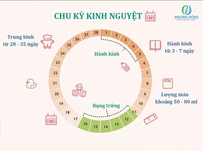 Xông Hơi: Thời Gian Bao Lâu Là Tốt Nhất Và An Toàn Nhất? Xông Hơi: Thời Gian Bao Lâu Là Tốt Nhất Và An Toàn Nhất?