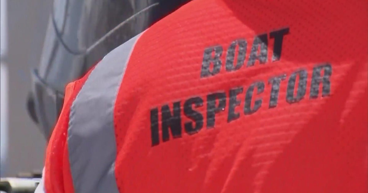Zebra Mussel Invasion: Casper Resident Finds Thousands On New Boat Lift Zebra Mussel Invasion: Casper Resident Finds Thousands On New Boat Lift