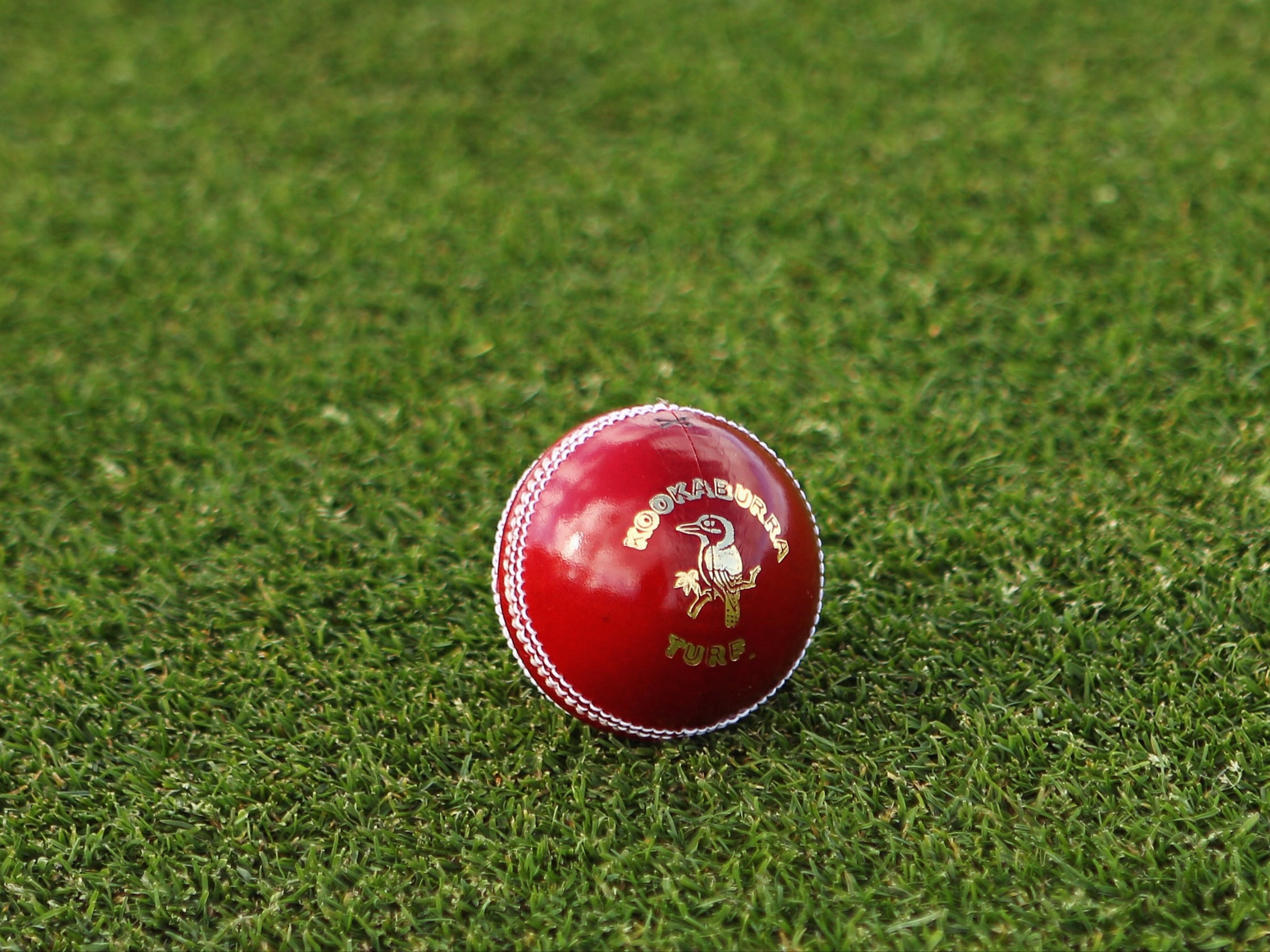 Zimbabwe Vs Bangladesh: Day One Match Summary And Highlights Zimbabwe Vs Bangladesh: Day One Match Summary And Highlights