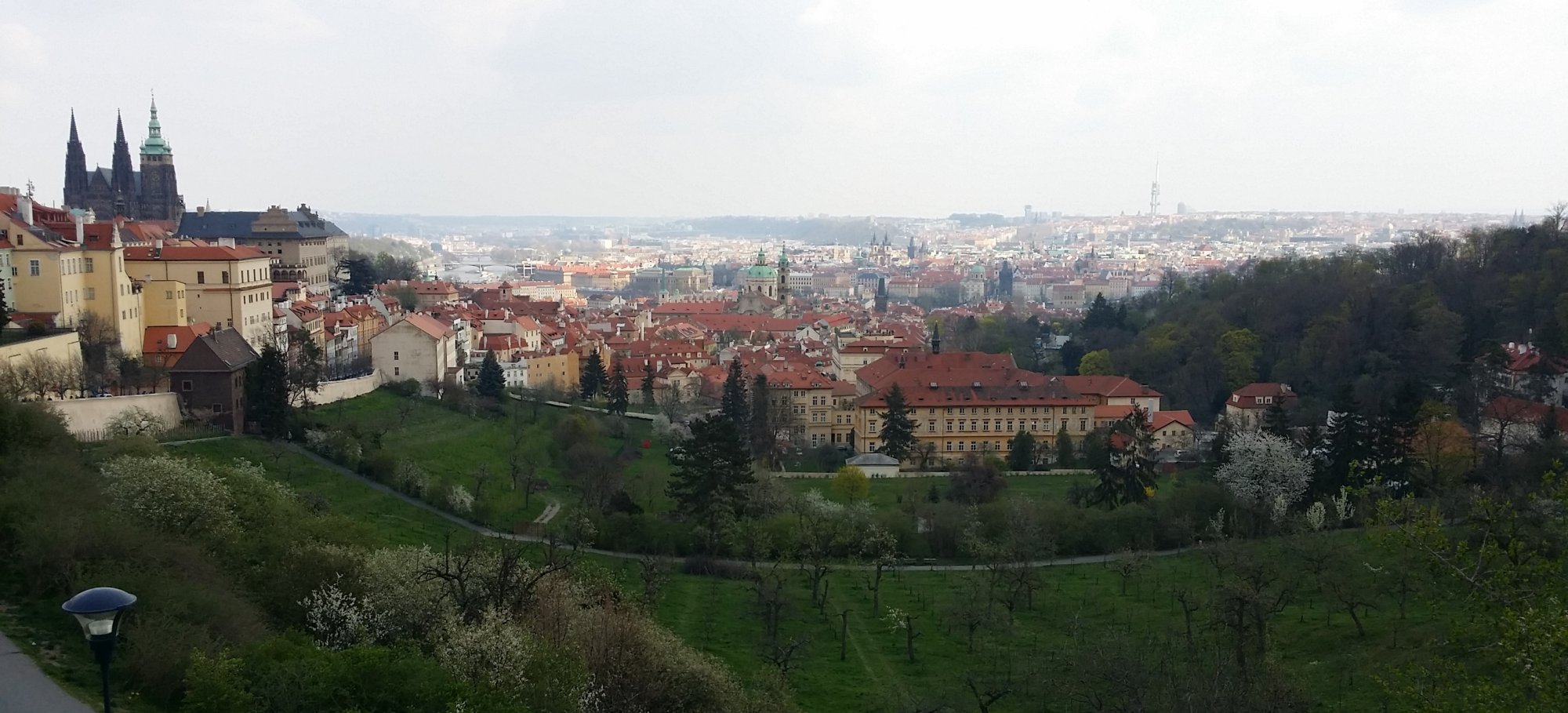 Ztráta Pro Piráty? Odchod Poslance Peksy A Jeho Kritika Strany Ztráta Pro Piráty? Odchod Poslance Peksy A Jeho Kritika Strany